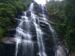 From wikimedia commons, the free media repository. Itatiaia Budget Bucket List