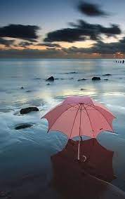 Nature Glam Wallpaper Apple Wallpaper Screen Wallpaper Mobile Wallpaper Beautiful Flowers Glam Wallpaper Beautiful Flowers Wallpapers Umbrella Photography