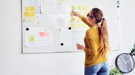 In-Person Therapy Animal Handler Course