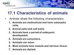 Maybe you would like to learn more about one of these? Structure And Function In Living Things Chapter Seventeen Animals 17 1 What Is An Animal 17 2 Invertebrate Structure And Function 17 3 Vertebrate Structure Ppt Download