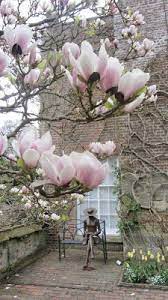 The Magical Christmas Wreath Company Magical Christmas Christmas Wreaths Gorgeous Gardens