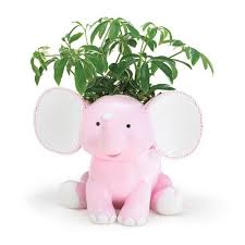 We did not find results for: Adorable Elephant Planters