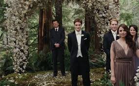 Wedding Ideas Blog Breaking Dawn Wedding Twilight Wedding Wedding Scene
