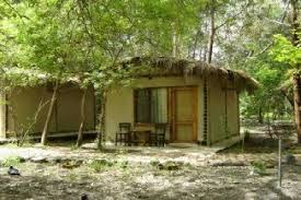 Antalya Kemer Doga Tatili Tekirova Doga Tatili Antalya Evler Tatiller