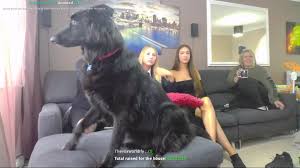 Livestreamfails Coral Jebaited Grossie Gore Playing Irl High quality gross gore gifts and merchandise. livestreamfails coral jebaited