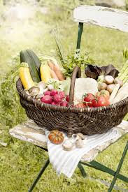 Deutschland Mein Garten Frisches Gemuse Am Besten Saisonal Und Regional Gemuse Garten Tomate Champignons Mit Bildern Obst Und Gemuse Obst Garten