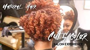 Natural Hair Salon Experience Hair Cut Color Youtube