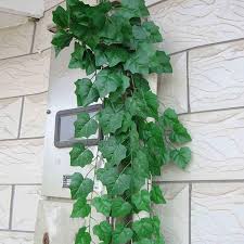 We did not find results for: Artificial Wall Hanging Ivy Vine Foliage Leaf Garland Plants Decor Flowers Home Decor Sweet Potato Leaf Buy At The Price Of 1 14 In Aliexpress Com Imall Com