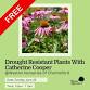 Drought Resistant Plants With Catherine Cooper At Weston Nurseries