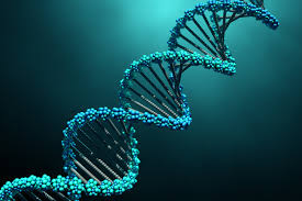 Four Success Stories in Gene Therapy | Scientific American