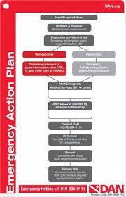 11 Printable Emergency Action Plan Examples Pdf Docs