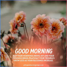 Get inspired and be motivated by these sunday blessings job 19:25 good morning sunday sunday quotes good morning quotes happy sunday sunday blessings religious sunday. Best Good Morning Blessings Images With Quotes Wishes