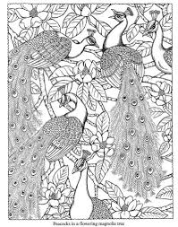 On portale bambini you can find a beatiful selection of peacock coloring pages: Peacock Coloring Pages Ideas Pdf Printable Free Coloring Sheets Peacock Coloring Pages Dover Coloring Pages Animal Coloring Pages
