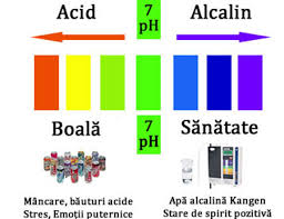 Yogaesoteric Toţi Pacienţii Cu Cancer Au Un Ph Prea Acid Cateva Sugestii Pentru Echilibrarea Ph Ului