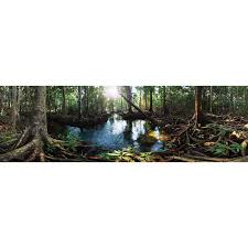 Background Clings Tropical 11 125 Galapagos Terrarium Clings Are Best In Class They Are Printed With Bright V Tropical Terrariums Galapagos Background