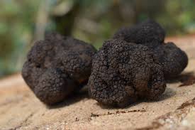 Battere in una terrina le uova, condirle con sale ed un pizzico di pepe, unire il tartufo e mescolare bene. Frittata Al Tartufo Nero Solo Tartufi