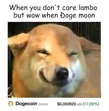 Dogecoin is the future currency of earth daily dogecoin updates and news. When You Don T Care Lambo But Wow When Doge Moon Dogecoin