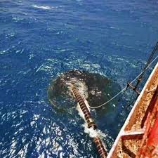 Vessel safer is a floating storage/production, registered in yemen. Saudi Arabia Experts Urgently Needed To Inspect Yemen S Abandoned Oil Tanker