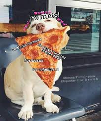 Pin De Alejandra Echevarria En Amor En 2020 Memes Romanticos Memes Amor Amor Animales Frases