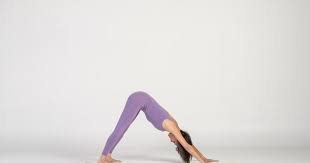 By Baxter I Recently Got The Following Short Comment On The Post Featured Pose Downward Facing Dog Pose That We Did B Downward Facing Dog Dog Poses Poses