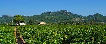 Das gemeindegebiet gehört zum regionalen naturpark luberon. Vaucluse Departement Und Region In Der Provence