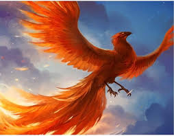 Pngkit selects 30 hd phoenix bird png images for free download. Amazon Com 5d Diamond Painting Golden Phoenix Bird By Number Adult Painted Diamond Art Diy Crystal Craft Full Diamond Cross Stitch Decoration Mosaic Gift 16x12 Inches