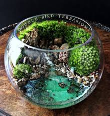 A Tropical Seascape Scene Is Planted Using Live Mosses Housed In A Glass Bowl The Water Is Made Of A Transpar Garden Terrarium Terrarium Bowls Terrarium Scene