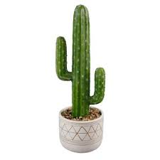 Jump to navigationjump to search. Cactus Artificial Greenery Home Decor The Home Depot
