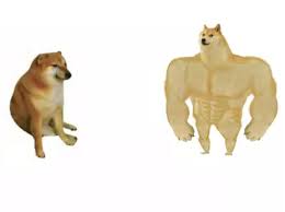 All our images are transparent and free for personal use. Buff Doge Vs Cheems Reversed Blank Template Imgflip
