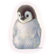 Search images from huge database containing over 1,250,000 2500x2538 drawing step by step drawing cartoons spongebob with step by. Image Result For Baby Penguin Mugs Realistic Dieren Tekenen Dingen Om Te Tekenen Huisdier Kunst