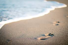 100 Best Beach Puns And Quotes For The Perfect Instagram Caption