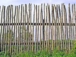 Garden Fence How To Achieve Some Dog Proofness And Not Detract From The Pretty Flowers Garden Fence Diy Garden Fence Modern Garden