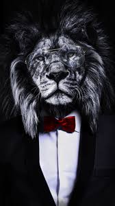 Pin By H H On Iphone 11 Pro Max Wallpaper Lion Wallpaper Iphone Lion Pictures Lion Wallpaper