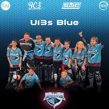 Stingrays Ball Hockey added a new...