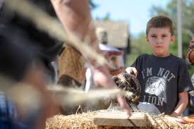 35th Annual Fall Festival