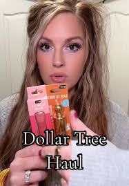 Dollar Tree Shopping Haul: Amazing Finds and Deals