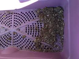 My father used them extensively to grow vegetables on his back sun deck and that is where i inherited mine after his passing 2 years ago. Growbox Self Watering Planter Product Review