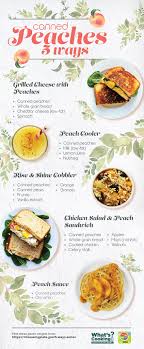 If you add more peaches to the recipe, keep the ratio of 1 can peaches in heavy syrup for every can of peaches in just juice. Pick A Peach 5 Ways To Enjoy Canned Peaches Usda