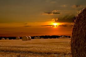 In der region der magdeburger börde bieten sich verschiedene ziele für eine wochenendreise an. Magdeburger Borde Foto Bild Landschaft Acker Felder Wiesen Sonnenuntergang Bilder Auf Fotocommunity