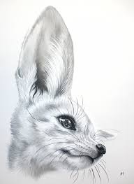Finally, draw a smooth curvy line in the back for the tail. Pin By Sister Sparrow Graphic Designs On Art Inspiration Fennec Fox Fox Drawing Fox Art Animal Drawings
