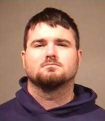 Lyon sentenced to 12 months in jail for 'despicable acts'