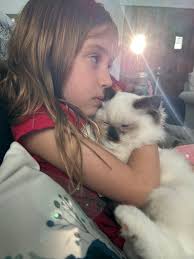 My boys nose has all of a sudden turned pink. He's always had a black nose.  His nose has never been wet wet but it's never been a concern. In the last