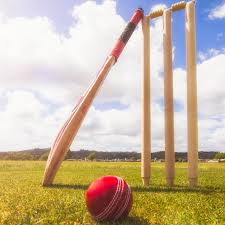 With our cricket eco lighter we have devoted ourselves to look forwards, think long term and become more sustainable. 5 Reasons Why Cricket Isn T And Shouldn T Be An Olympic Sport