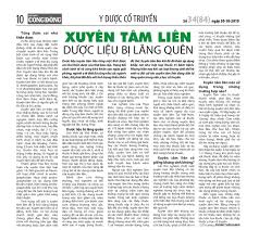Xuyên tâm liên dược liệu. SkcÄ' Xuyen Tam Lien DÆ°á»£c Liá»‡u Bá»‹ Lang Quen
