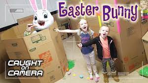 Maybe you would like to learn more about one of these? Easter Bunny Caught On Camera In Real Life We Caught The Easter Bunny In Homemade Trap It Worked Youtube