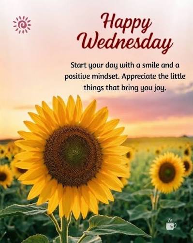 Wishing a happy Wednesday morning