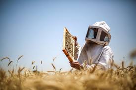 Honey is still a form of sugar and intake should be moderate. Manuka Honey Benefits How Manuka Honey Can Change Your Life