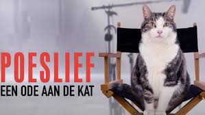 Poeslief 2 streamen online