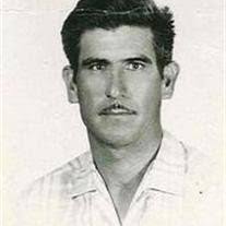 Sandra Bolanos's Instagram, Twitter & Facebook