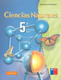 Ciencias naturales libro de primaria grado 5 comision nacional. Ciencias Naturales 5 Pop